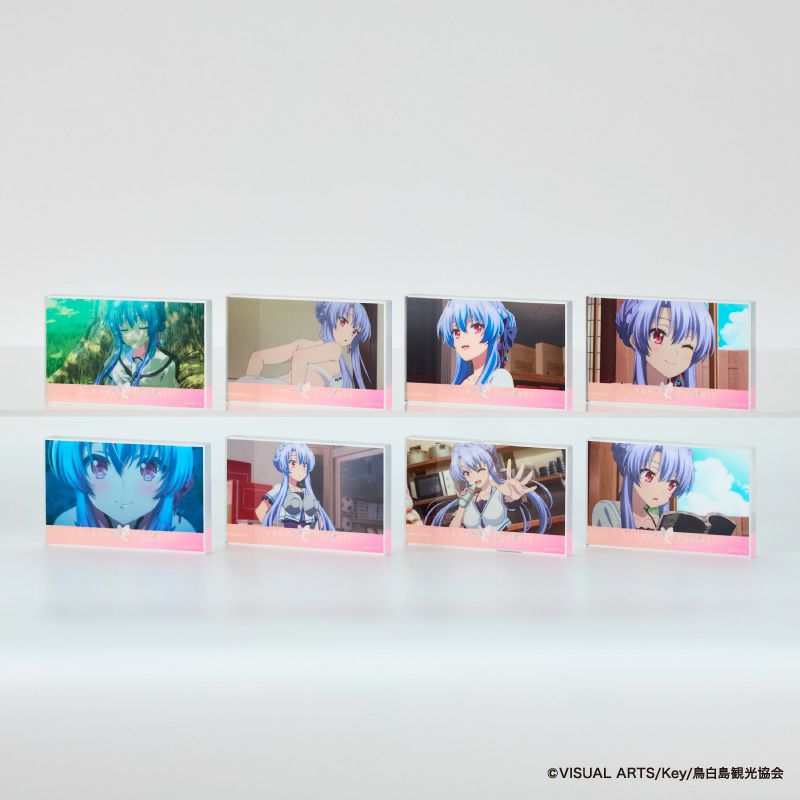 『Summer Pockets』アクリルブロックコレクションB/空門蒼(全8種)コンプリートBOX