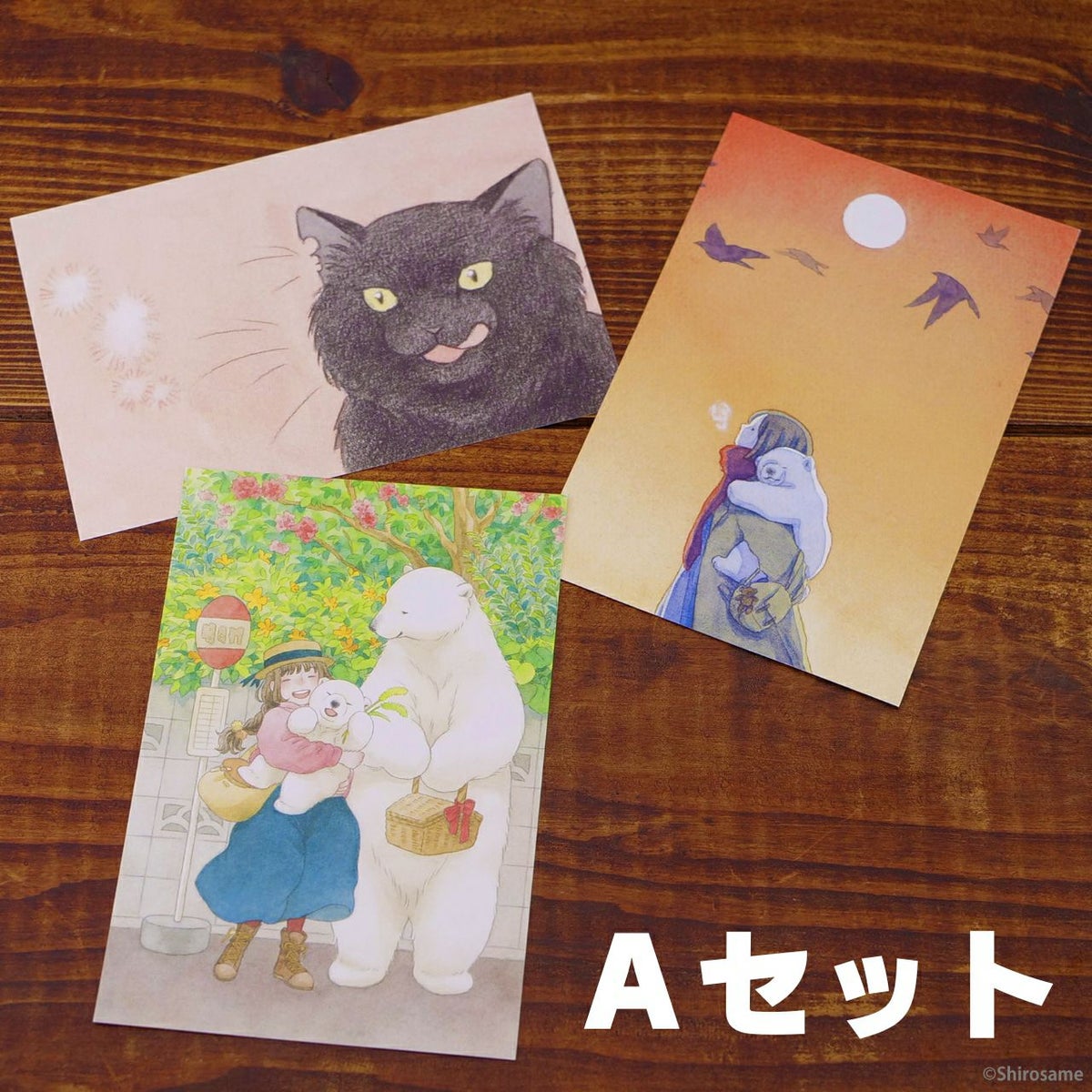 【しろさめ】ポストカードセットAセット1